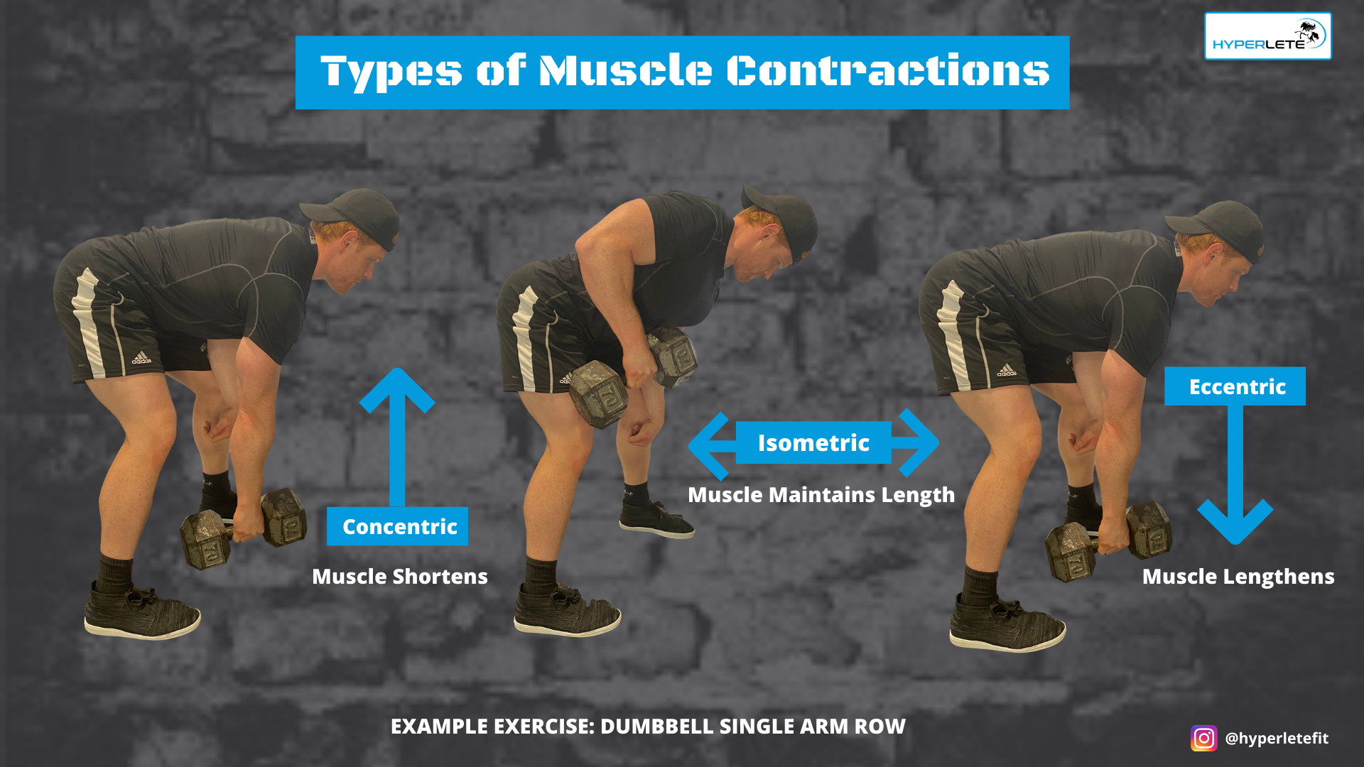 Training Program Basics: Types of Muscle Contractions